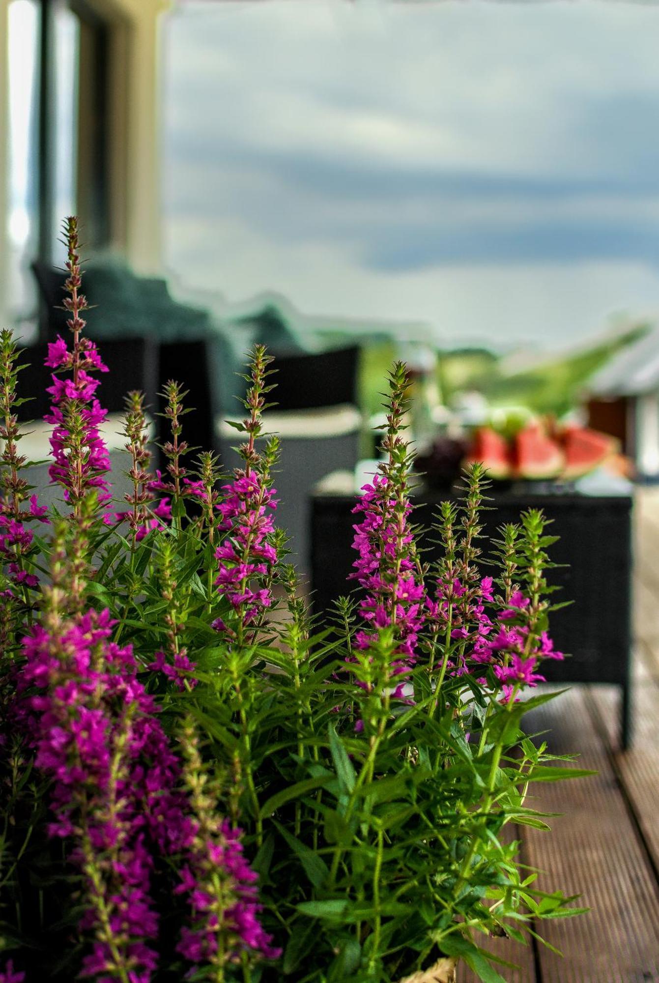Hotel Pajda Mazur - Osrodek Wypoczynkowy Stare Jabłonki Esterno foto